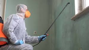 Best Mold Prevention Services  in Holden, MO